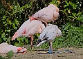 20260423 PENSAPR00080A