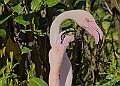 20260423 PENSAPR00084A