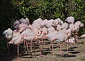 20260423 PENSAPR00086A