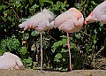 20260423 PENSAPR00089A