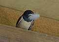 20260423 PENSAPR00107A