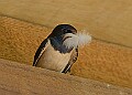 20260423 PENSAPR00110A