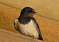 20260423 PENSAPR00119A