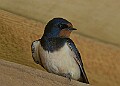 20260423 PENSAPR00120A