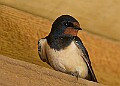20260423 PENSAPR00122A
