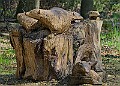 20260423 PENSAPR00141A