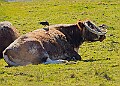 20260423 PENSAPR00144A