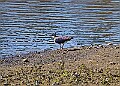 20260423 PENSAPR00147A