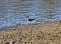 20260423 PENSAPR00149A