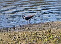 20260423 PENSAPR00152A