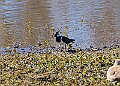 20260423 PENSAPR00168A