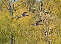 20260423 PENSAPR00174A