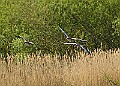 20260423 PENSAPR00178A