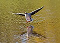 20260423 PENSAPR00189A