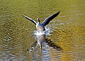 20260423 PENSAPR00191A