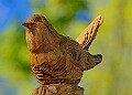 20260423 PENSAPR00217A