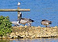 20260423 PENSAPR00226A