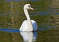 20260423 PENSAPR00227A