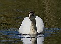 20260423 PENSAPR00230A