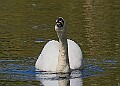 20260423 PENSAPR00232A