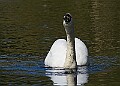 20260423 PENSAPR00233A