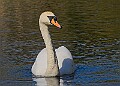 20260423 PENSAPR00237A