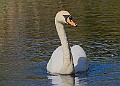 20260423 PENSAPR00238A