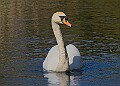 20260423 PENSAPR00239A