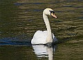20260423 PENSAPR00240A