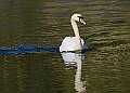 20260423 PENSAPR00241A