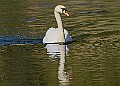 20260423 PENSAPR00242A