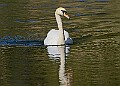 20260423 PENSAPR00243A