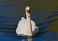 20260423 PENSAPR00244A