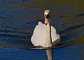 20260423 PENSAPR00247A