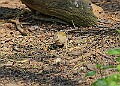 20260423 PENSAPR00284A