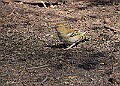 20260423 PENSAPR00288A