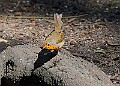 20260423 PENSAPR00298A