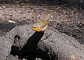 20260423 PENSAPR00299A