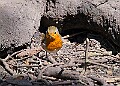 20260423 PENSAPR00308A