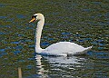 20260423 PENSAPR00321A