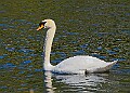 20260423 PENSAPR00323A