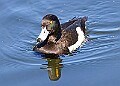 20260423 PENSAPR00324A