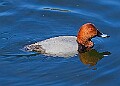 20260423 PENSAPR00327A
