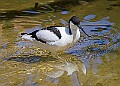 20260423 PENSAPR00346A