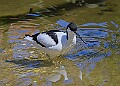 20260423 PENSAPR00347A