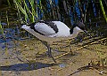 20260423 PENSAPR00349A
