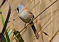 20260423 PENSAPR00362A