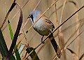 20260423 PENSAPR00364A