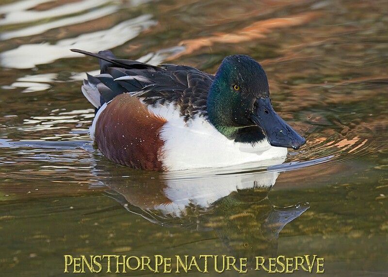 2025-12-11PENSDECB00001A.JPG