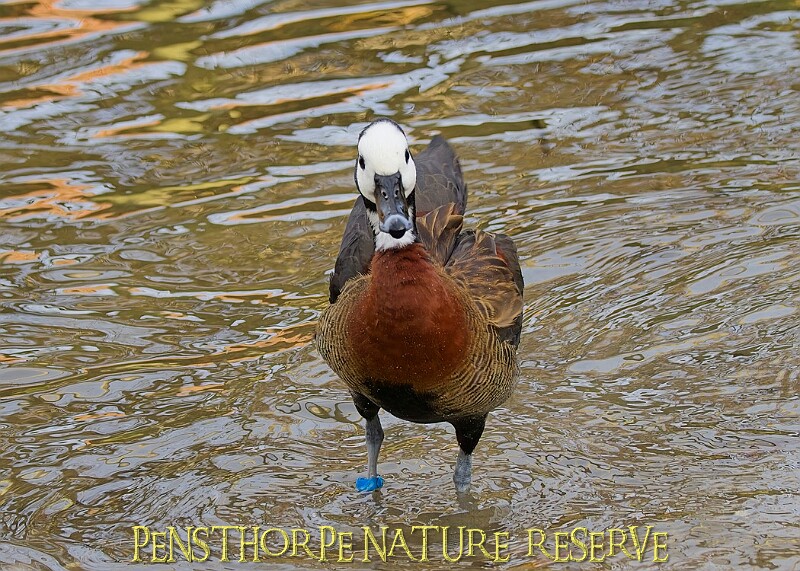 2025-12-11PENSDECB00018A.JPG